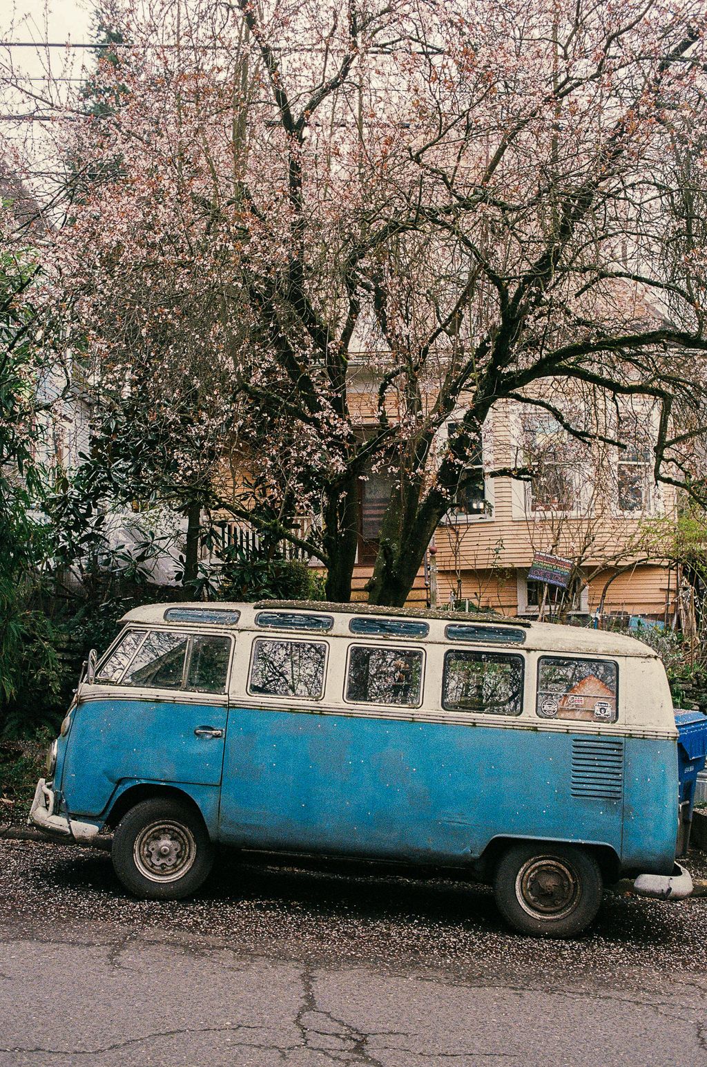VW bus